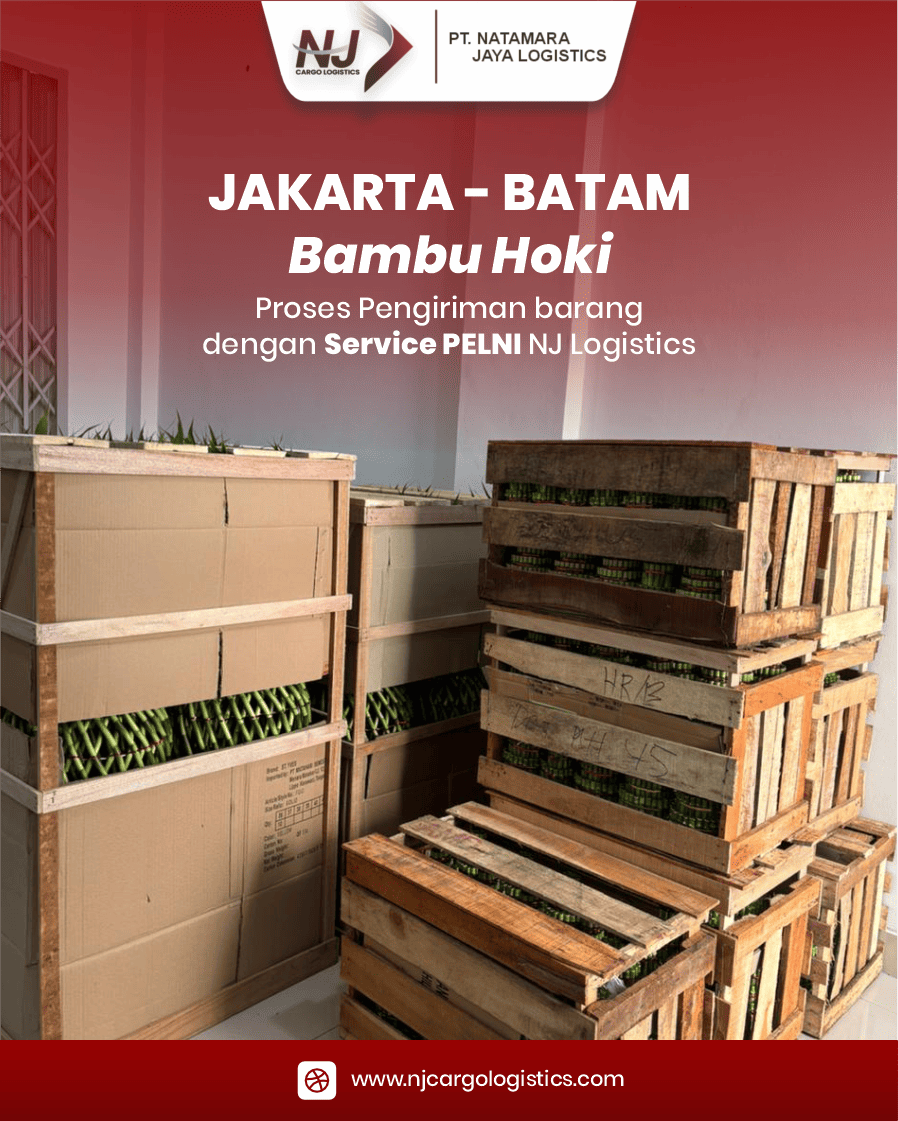Pengiriman tanaman Bambu Hoki Jakarta ke Batam menggunakan Service PELNI NJ Cargo Logistics